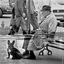 Some years ago in Paris 1989, ...there were better days in the city of love_Analogscan-Kombigrafie.