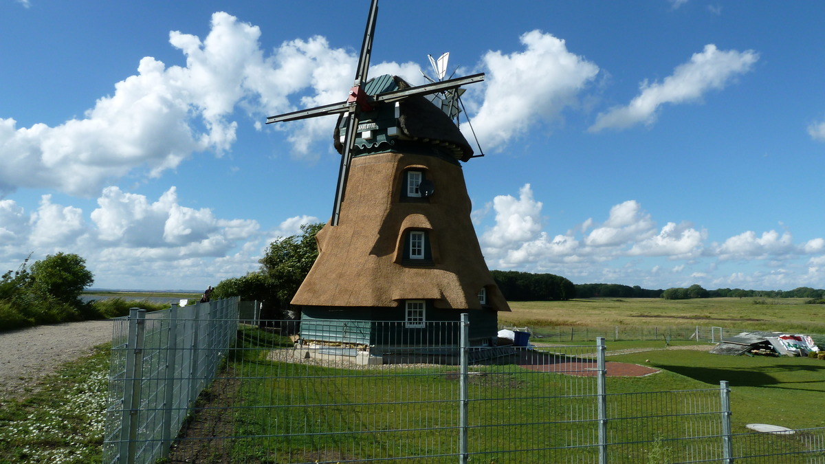 Alte Mühle mit Reet verkleidet