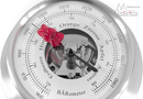 BÄRometer