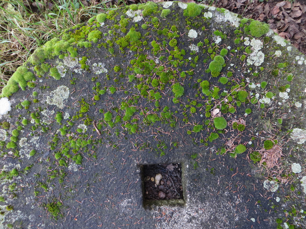 Mahlstein zum Mostpressen