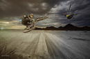 riders