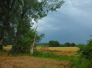 Gewitter meldet sich an...