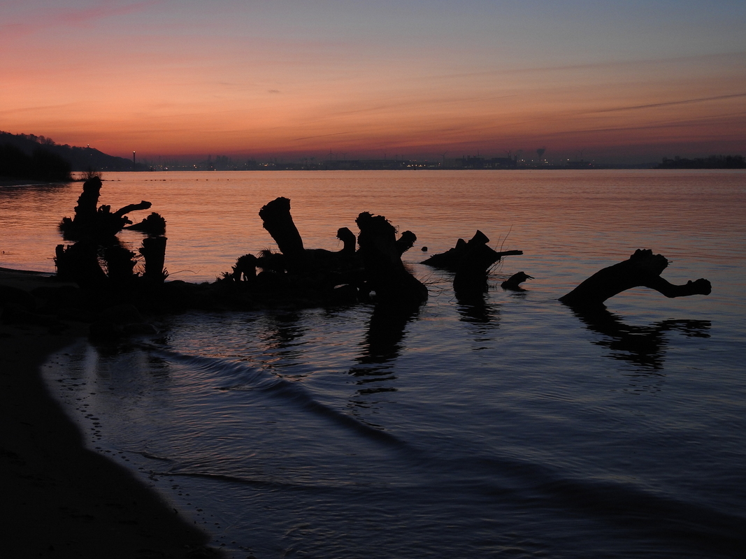 Romantik am Morgen...
