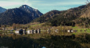 Fischhausen am Schliersee!