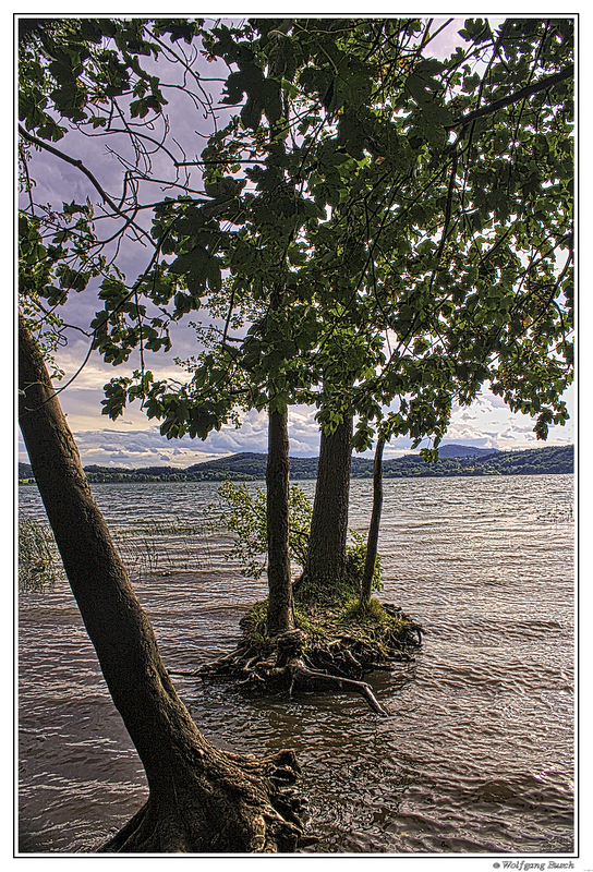 Fähre für Großpflanzen