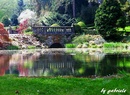 Wunderschöner Park 