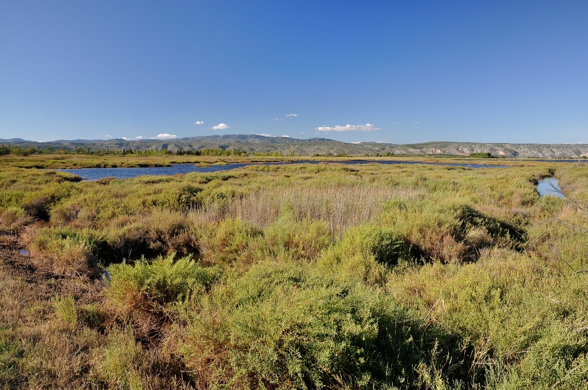 Landschaft am Étang de Salses