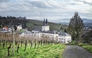 Landschaft im Rheingau mit Kloster Johannisberg