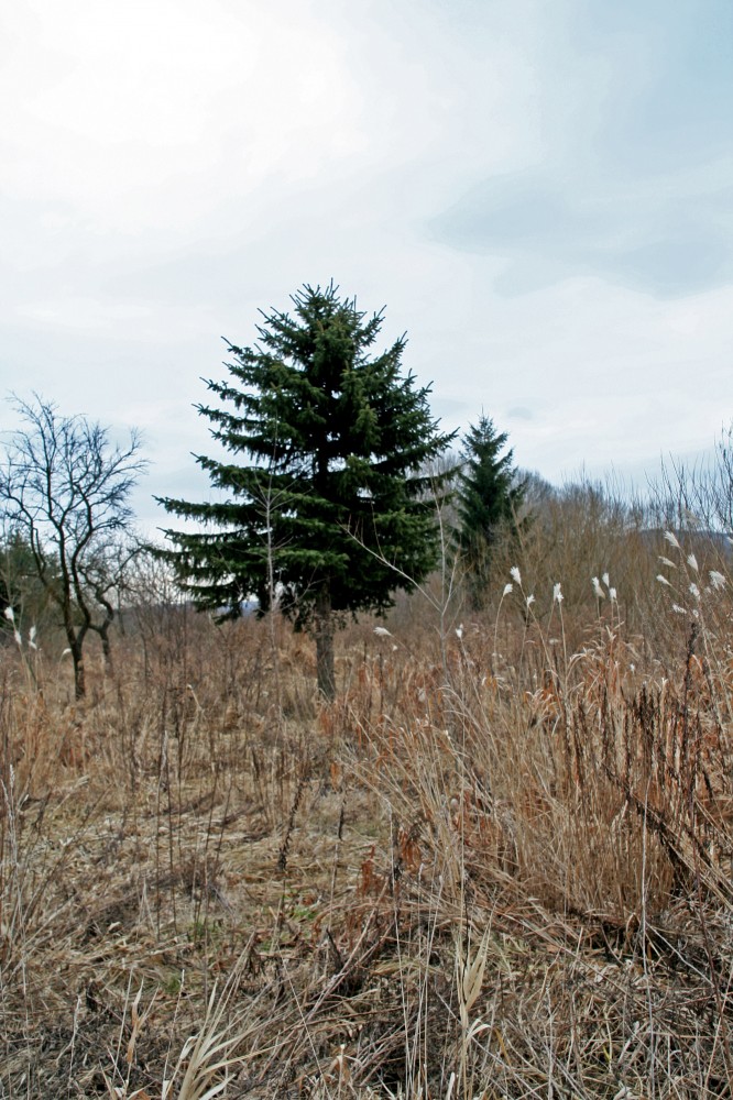 Landschaft im Herbst
