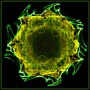 Sonnenblume apokalyptisch