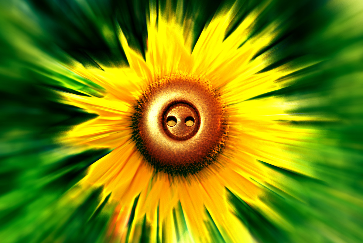 Blumenzoom