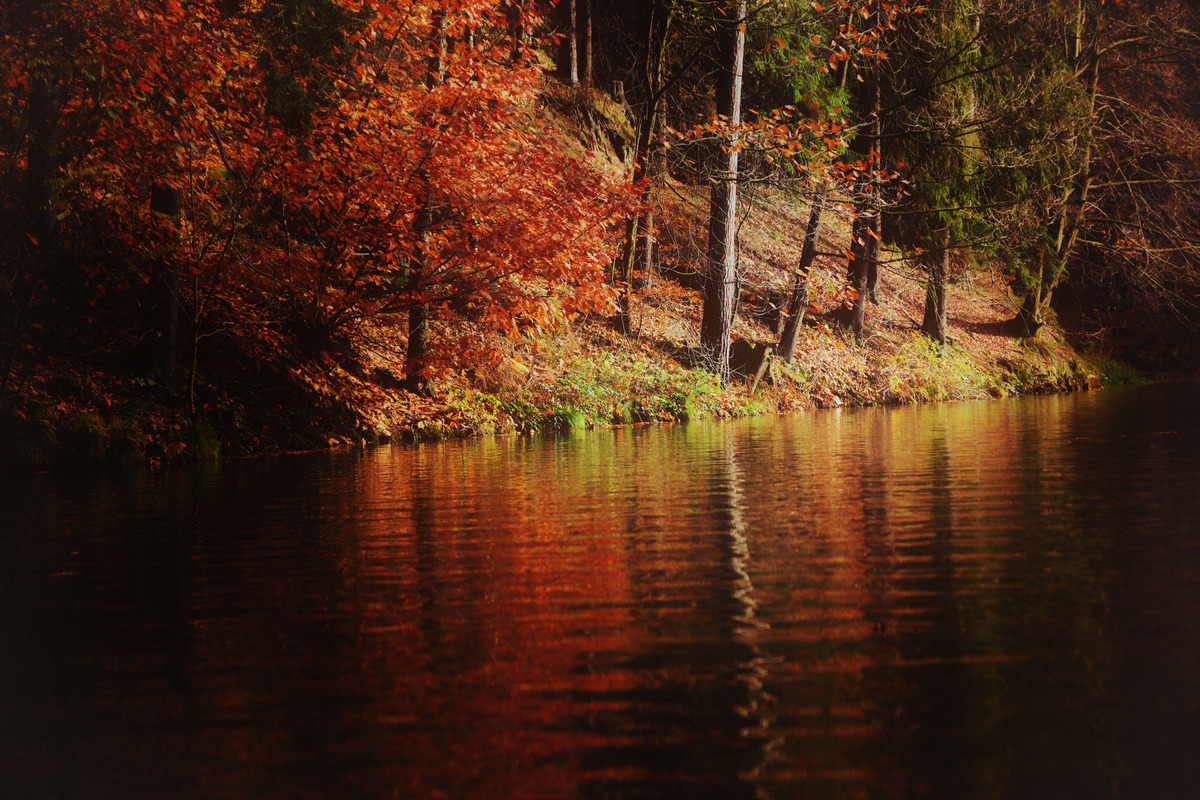 Herbst in der Sächsischen Schweiz
