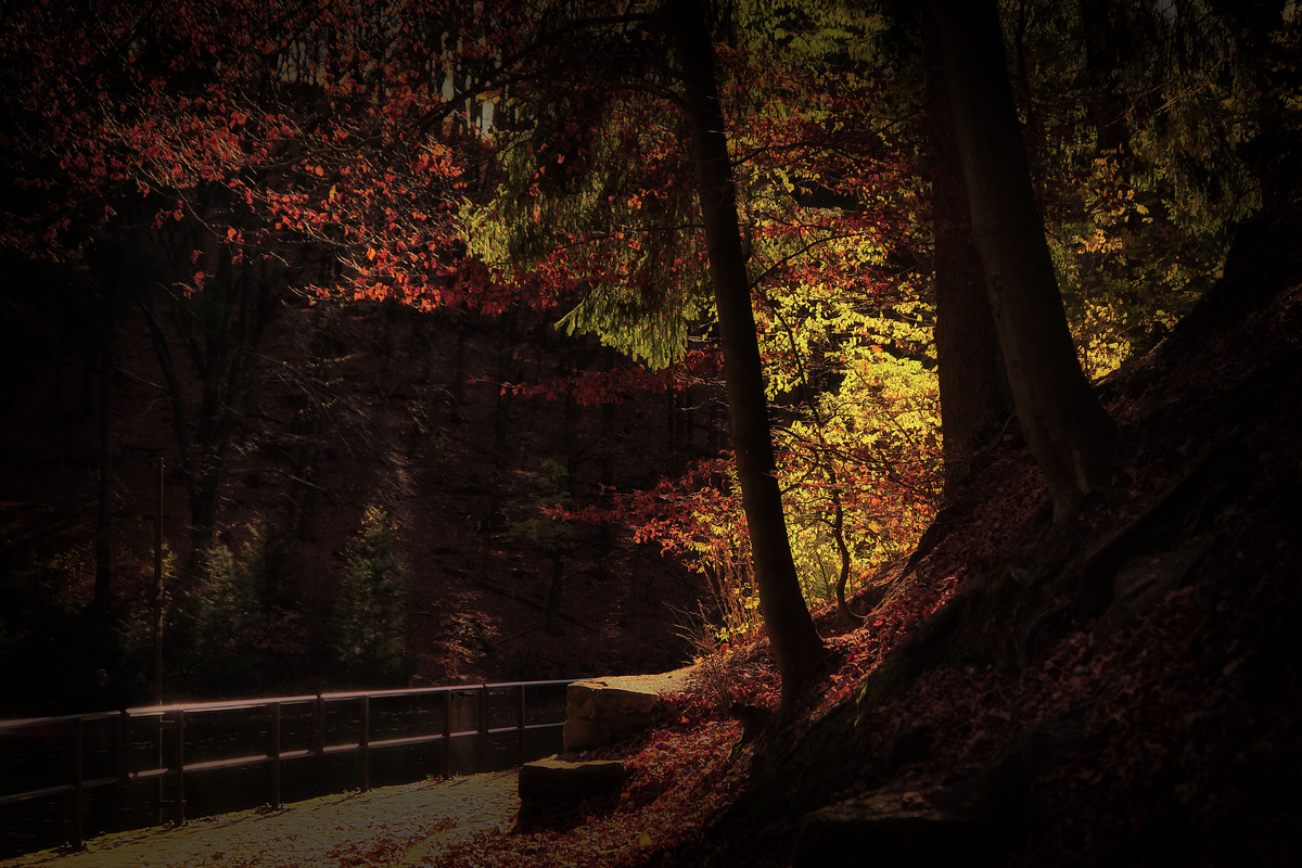Herbst in der Sächsischen Schweiz 3