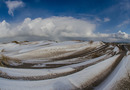 Dünen im Winter