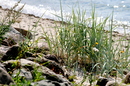 Fotos_Strand & Dünen