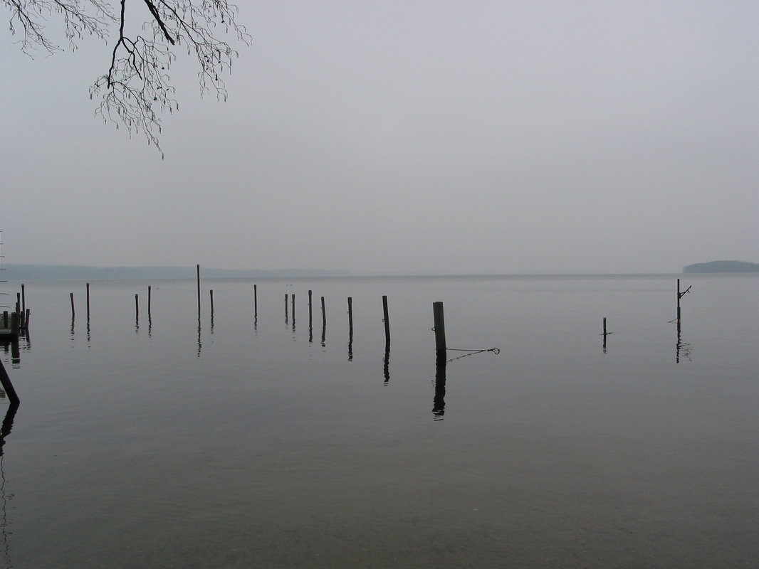 Bosau Frühling