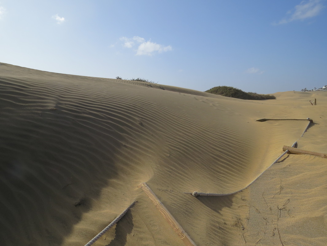 Sandmeer