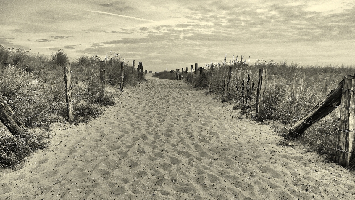 Der Weg zum Strand