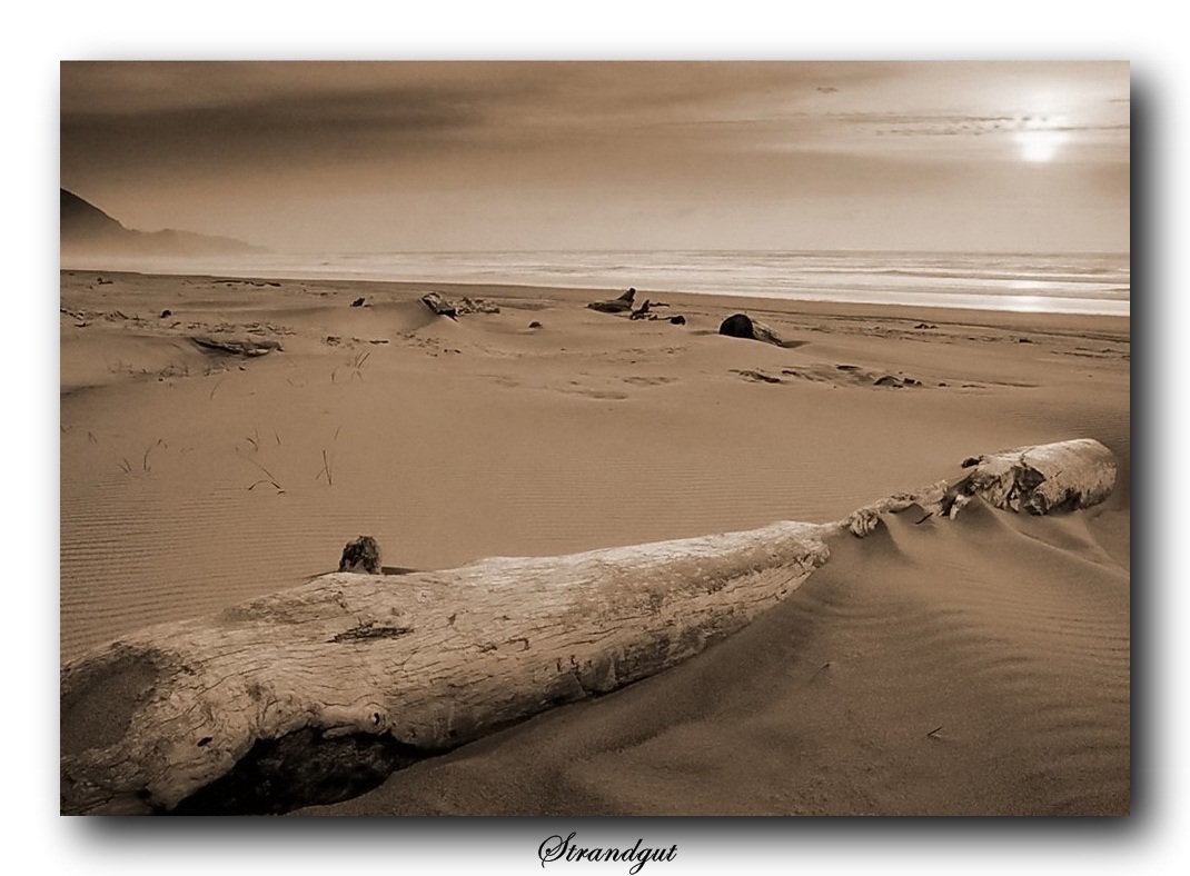 Thema des Tages "Beach" 