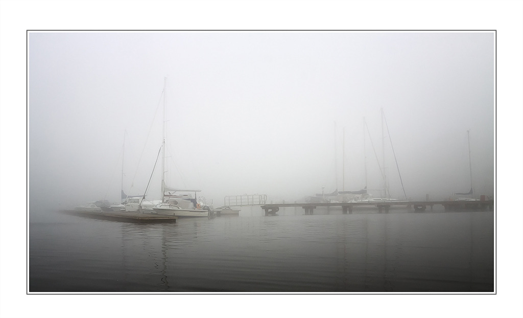 Nebelstimmung am Haff