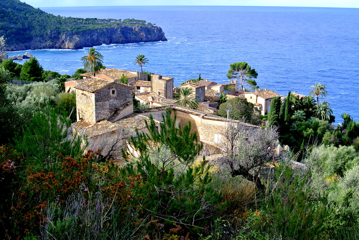 Finca