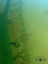 Wattenmeer
