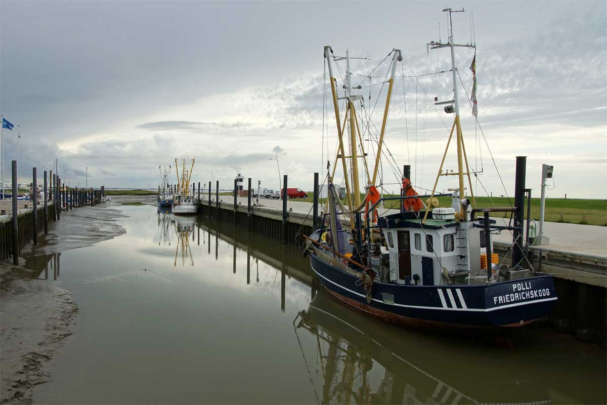 Ebbe im Kutterhafen Wremen