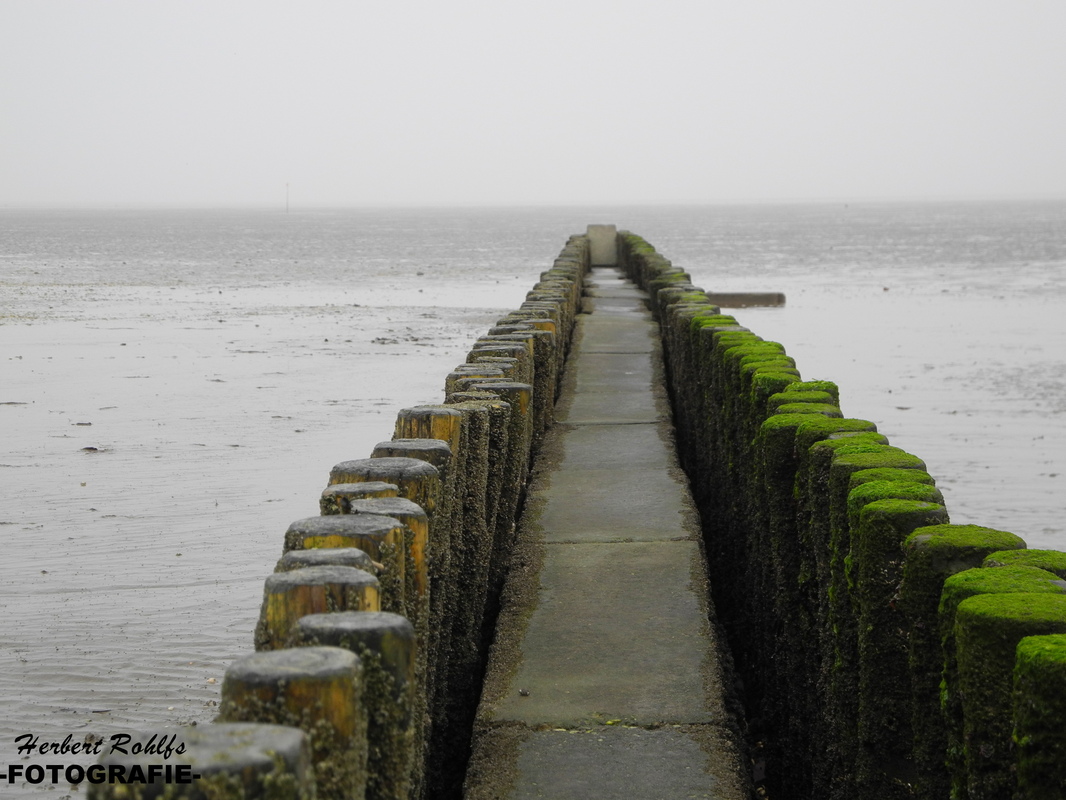 Watt im November in Schillig/Wangerland