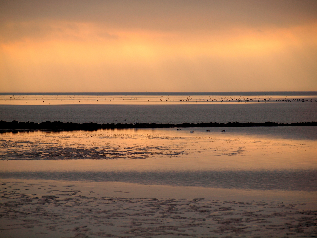 Wattenmeer...