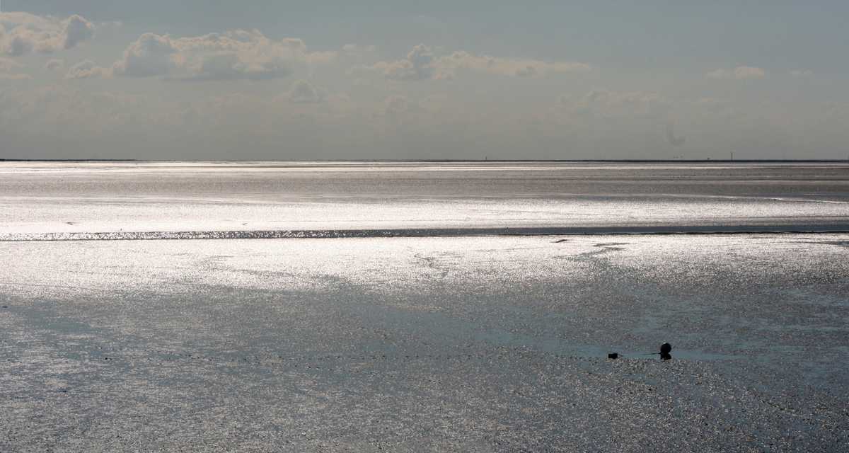 Watt in Silber und Blau