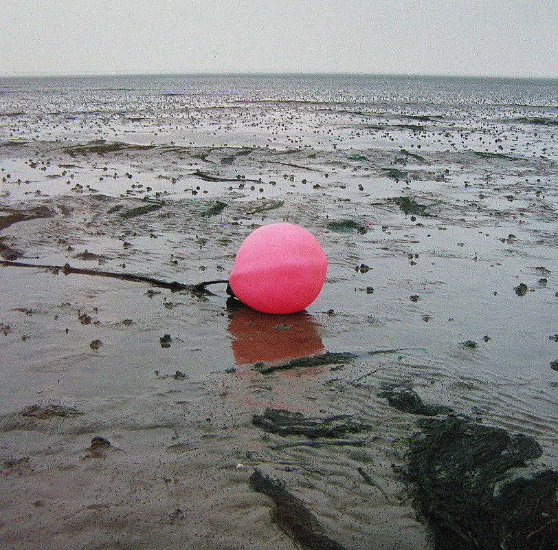 Rosa Kugel im grauen Watt