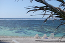 Lady Elliot Island