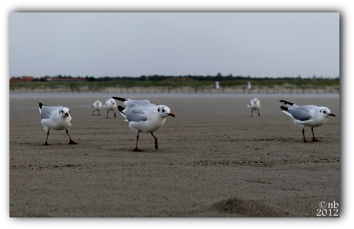 Angetreten zum Appell