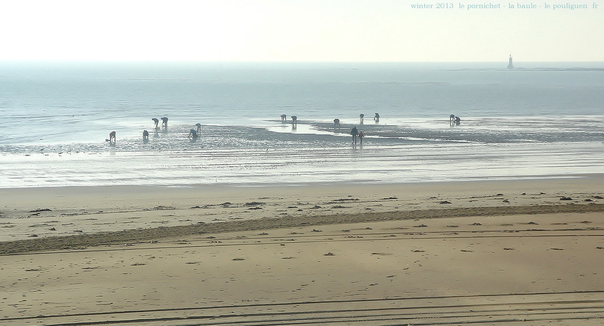 muschel-sucher in der bretagne 2013