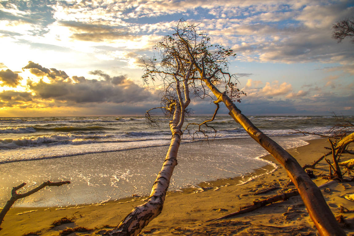 Dem Himmel entgegen....