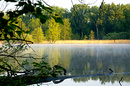 Weingartner Moor am Morgen