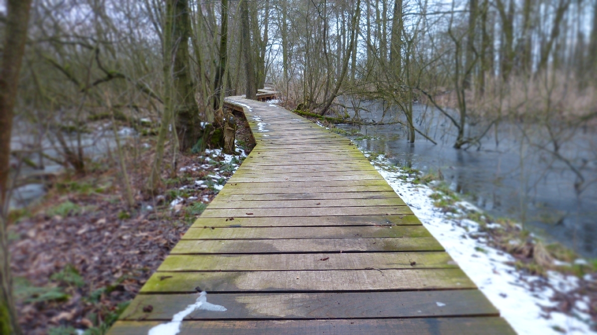 Der Steg durch das Moor