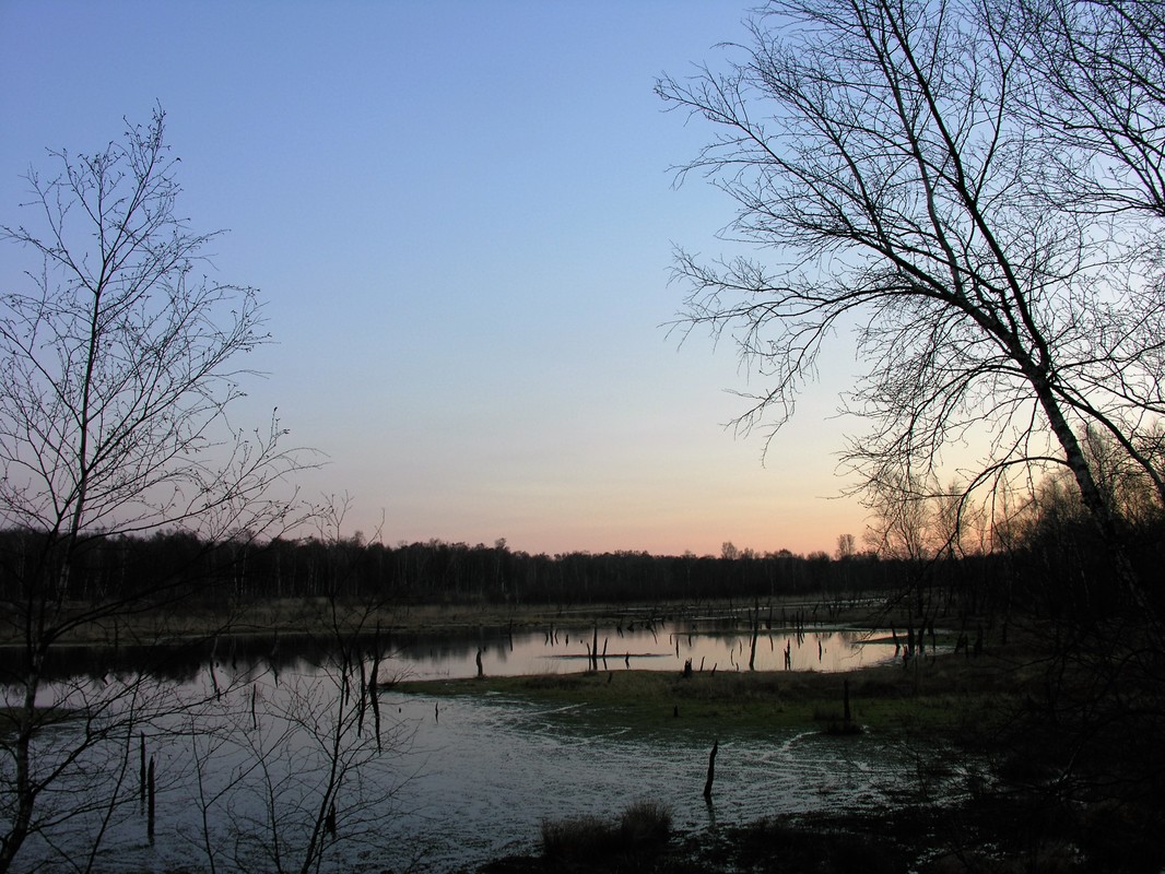 Wittmoor bei Norderstedt