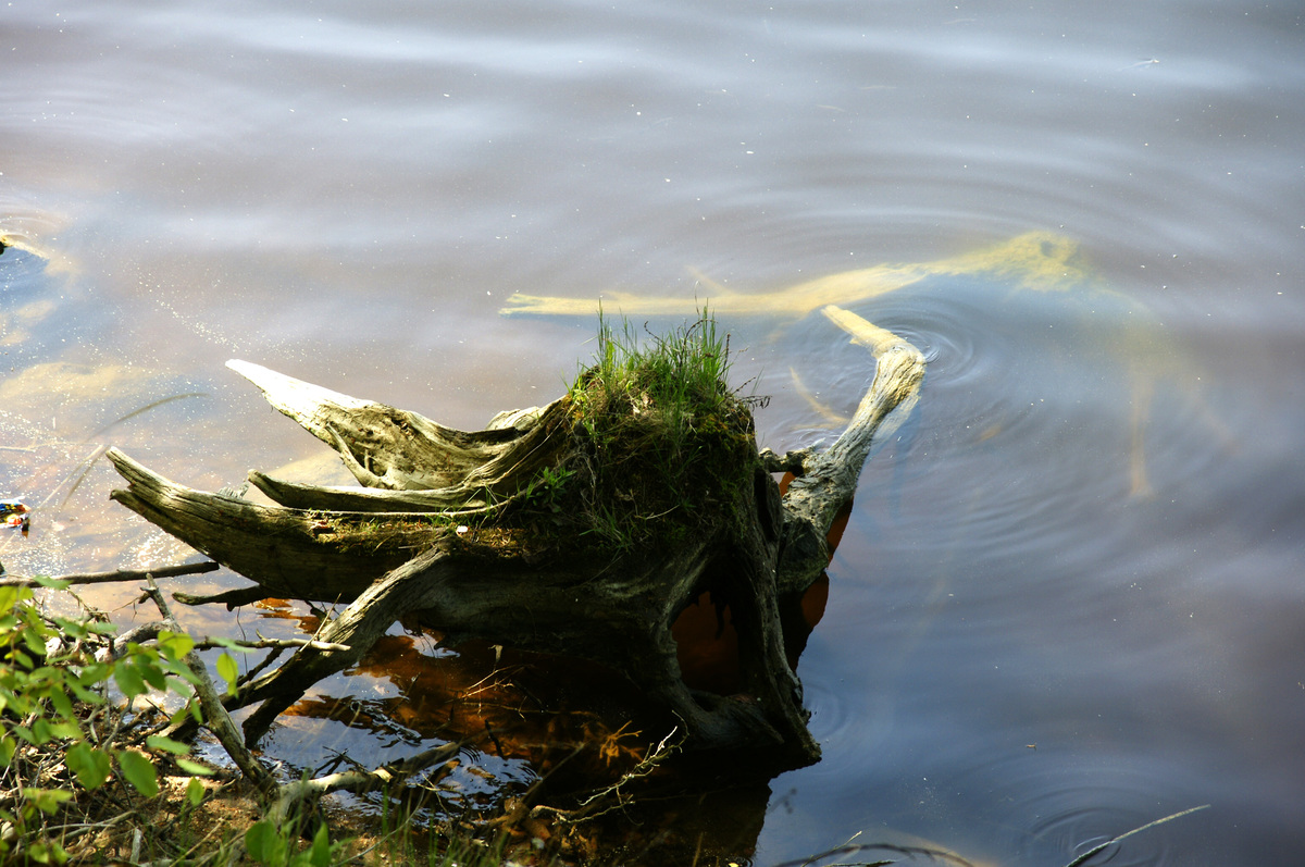 Am Stausee Ottenstein