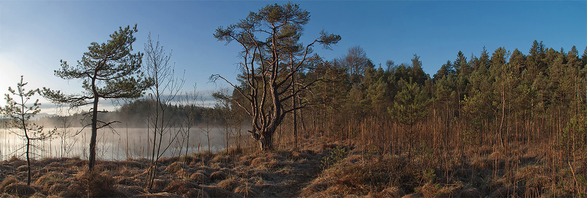 Morgenstimmung ...