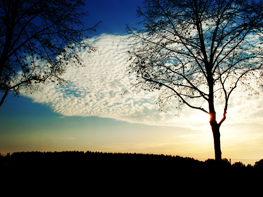 Abendhimmel