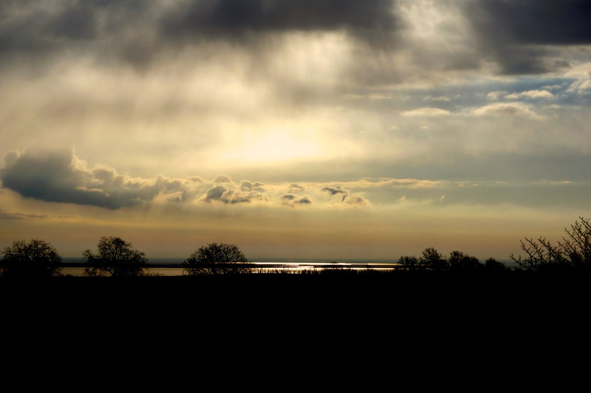 Neusiedlersee