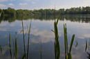 Fotos_Rückkehr der Natur