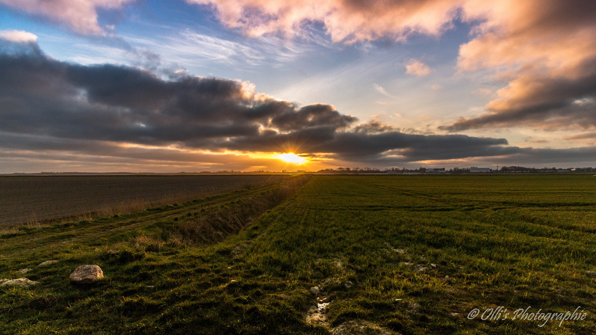 Sonnenuntergang im Karolinenkoog