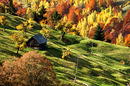 Transilvania