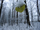 der Winter ist da,21.11.2013