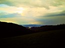 Fotos_Wald