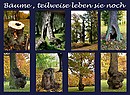 Bäume, teilweise leben sie noch....