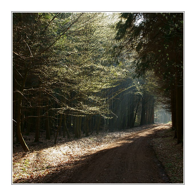 Weg ins Licht