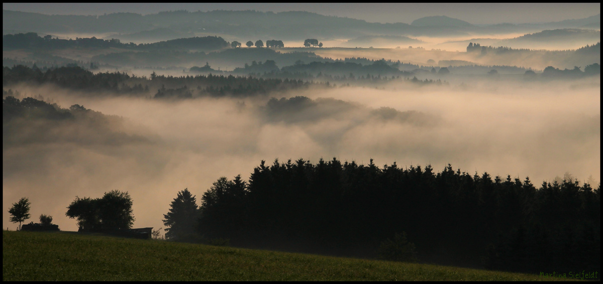 Eifel im Morgendampf